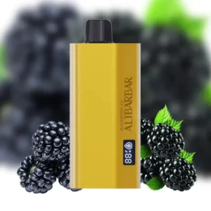 Alibarbar 12000 Puffs 抛弃式电子烟推荐|旗舰超长续航款 2 Alibarbar